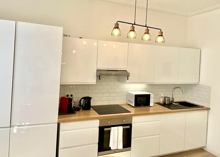 Cosy 48m Centre Et Gare A Pied Proche Musee D Art Moderne Wifi 4 Personnes Strasbourg