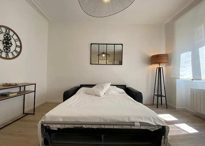 Cosy 48m Centre Et Gare A Pied Proche Musee D Art Moderne Wifi 4 Personnes Apartment