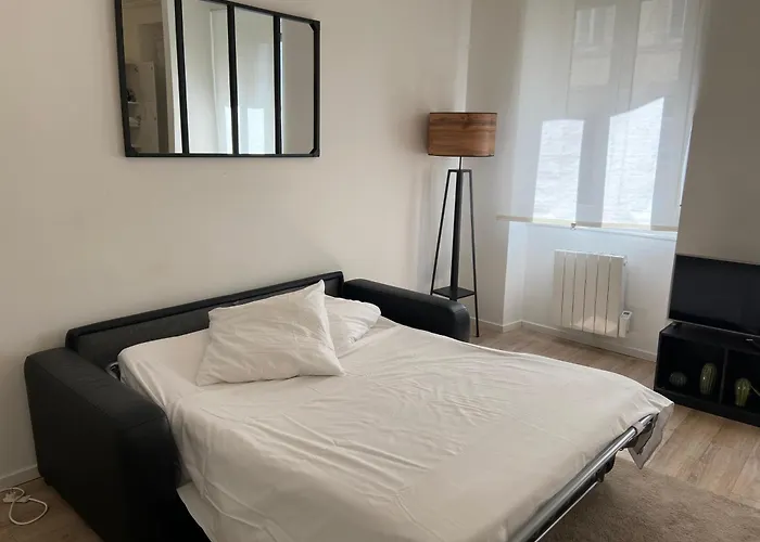 Cosy 48m Centre Et Gare A Pied Proche Musee D Art Moderne Wifi 4 Personnes
